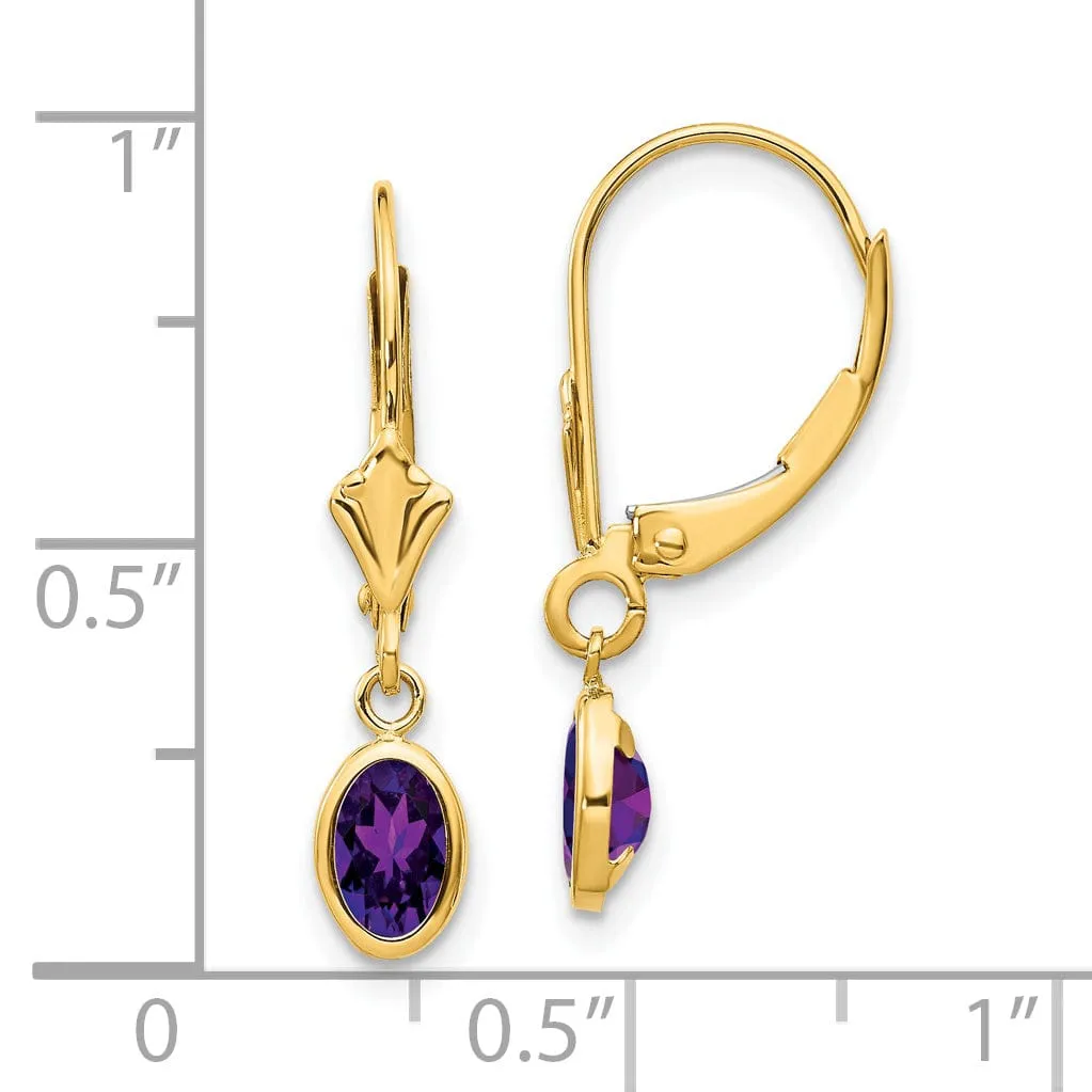 14k Yellow Gold Amethyst Birthstone Earrings