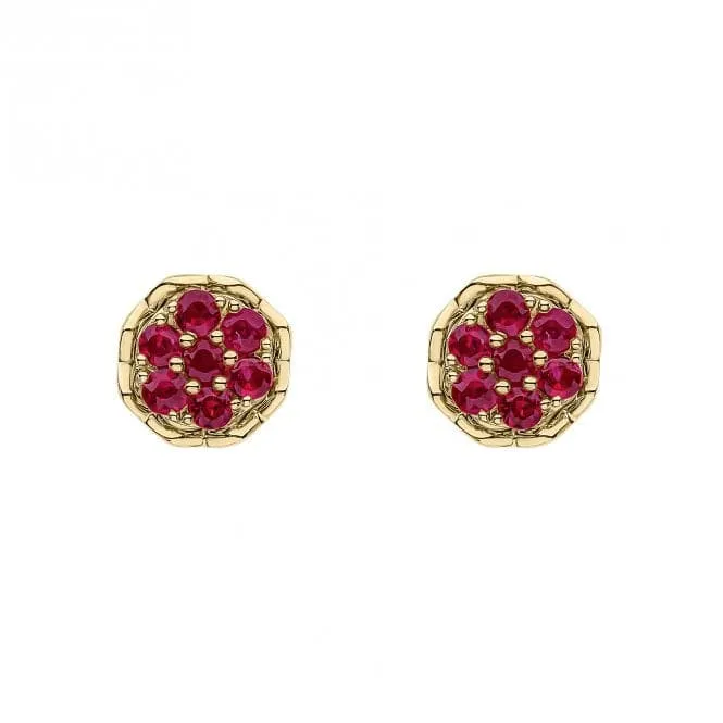 9ct Yellow Gold Ruby Earrings GE2462R