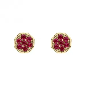 9ct Yellow Gold Ruby Earrings GE2462R