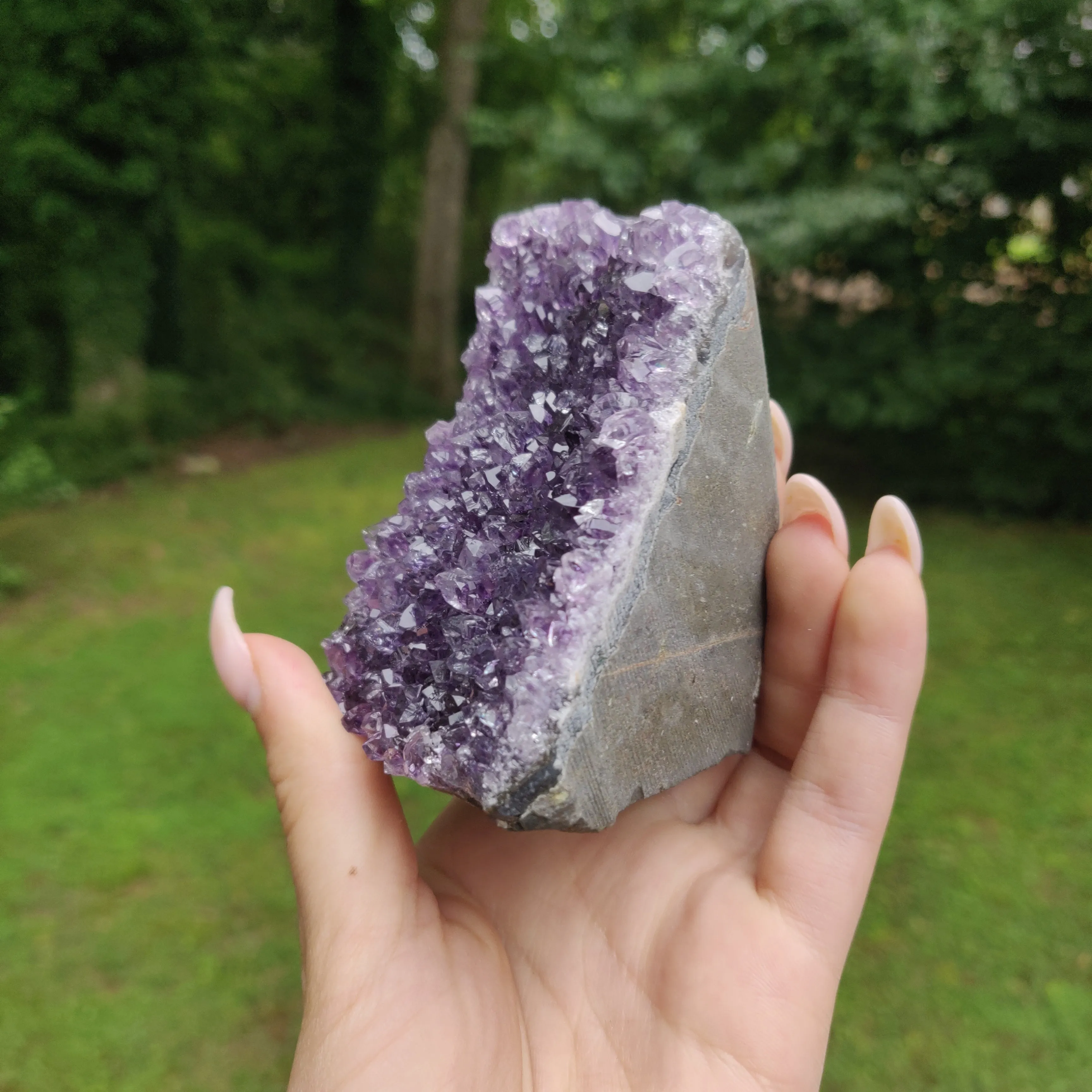 Amethyst Geode Free Form, Cut Base (#23)