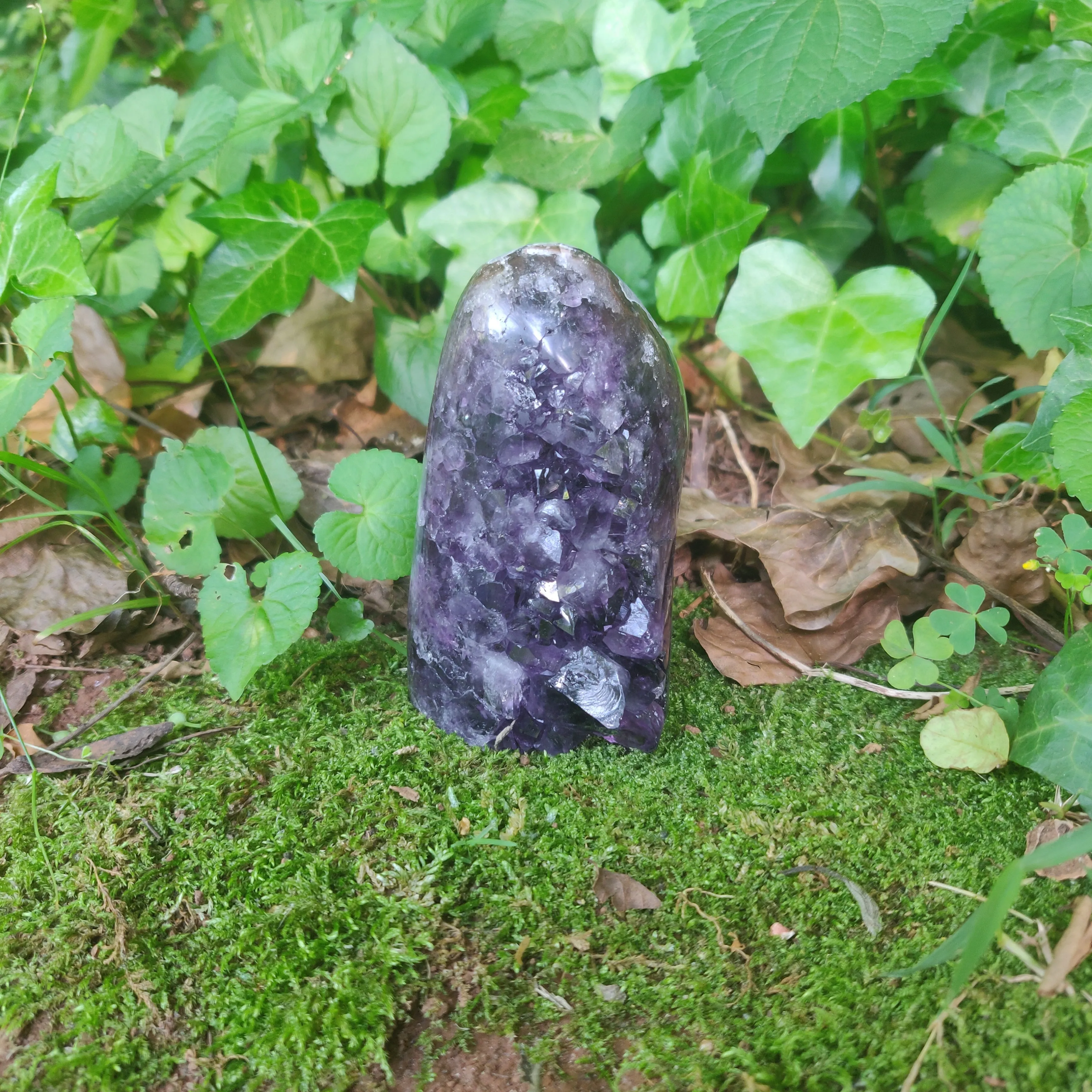 Amethyst Geode Free Form, Polished (#3)