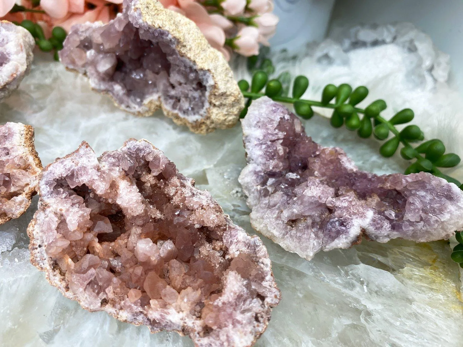 Argentina Pink Amethyst Geodes