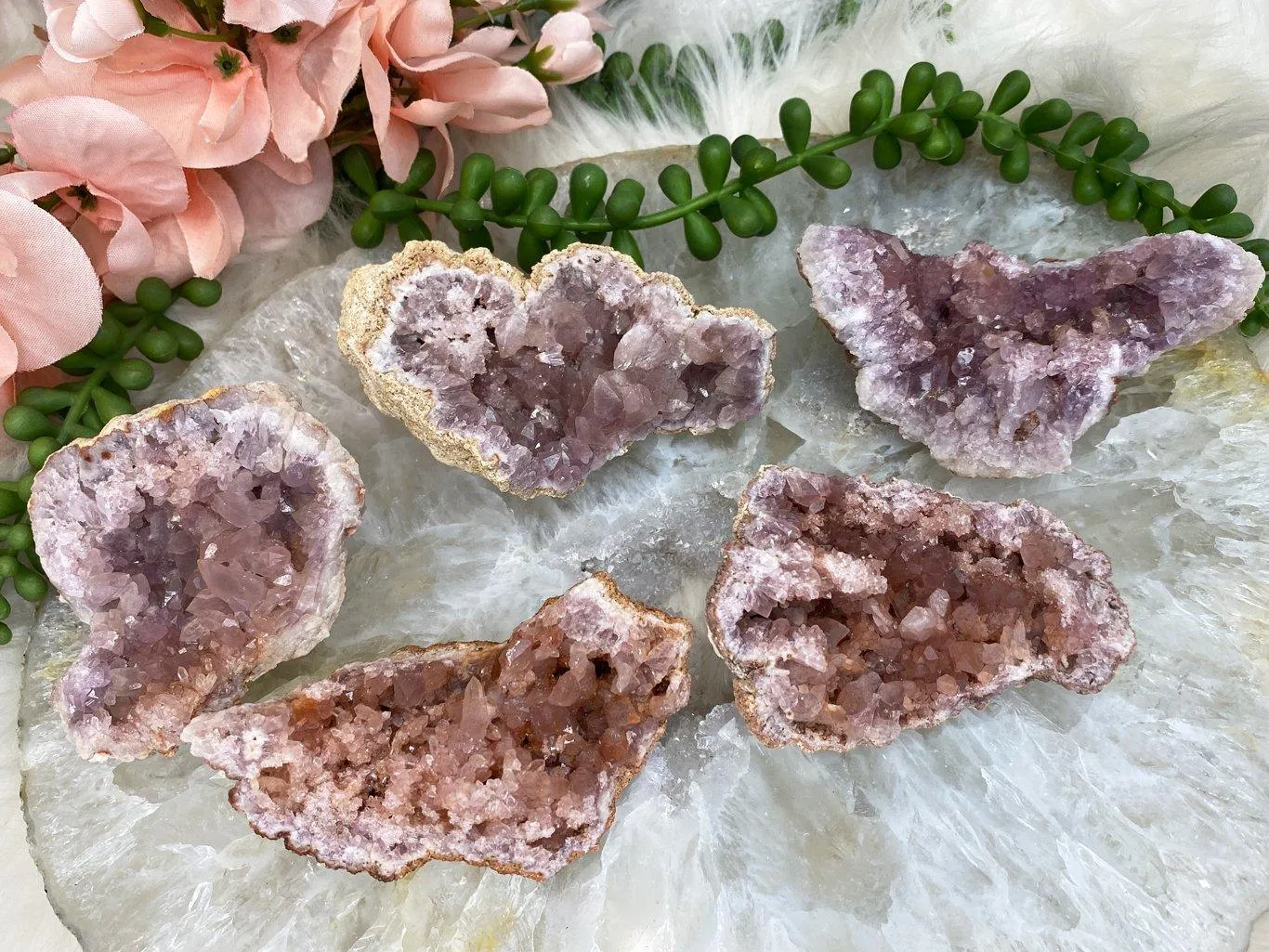 Argentina Pink Amethyst Geodes