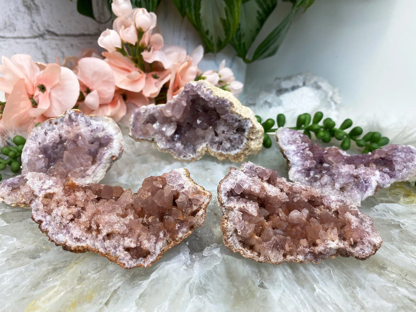 Argentina Pink Amethyst Geodes