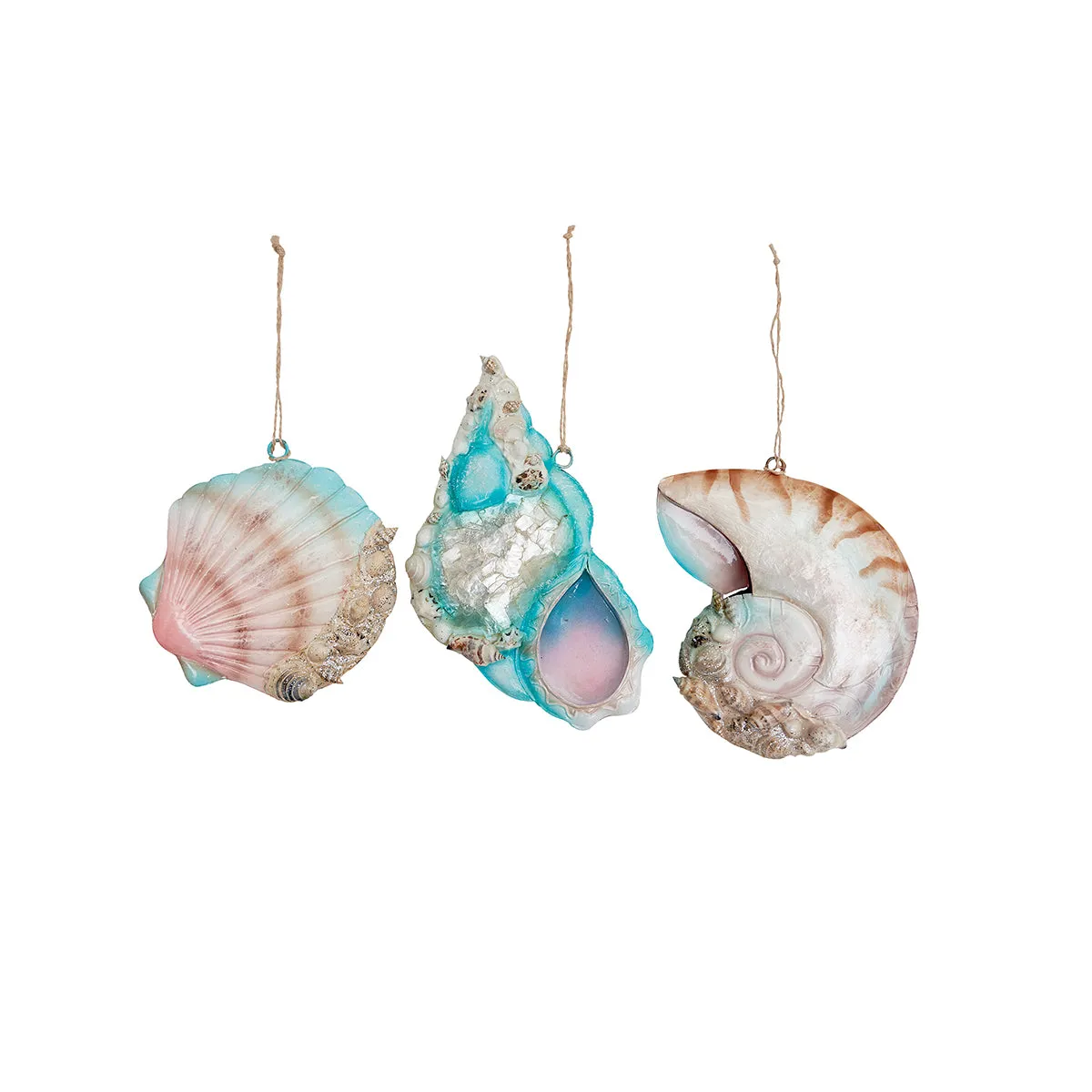 Coral Reef Shell Ornaments, Asst. of 3