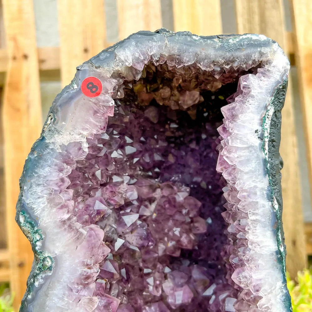 Large Amethyst Cathedral