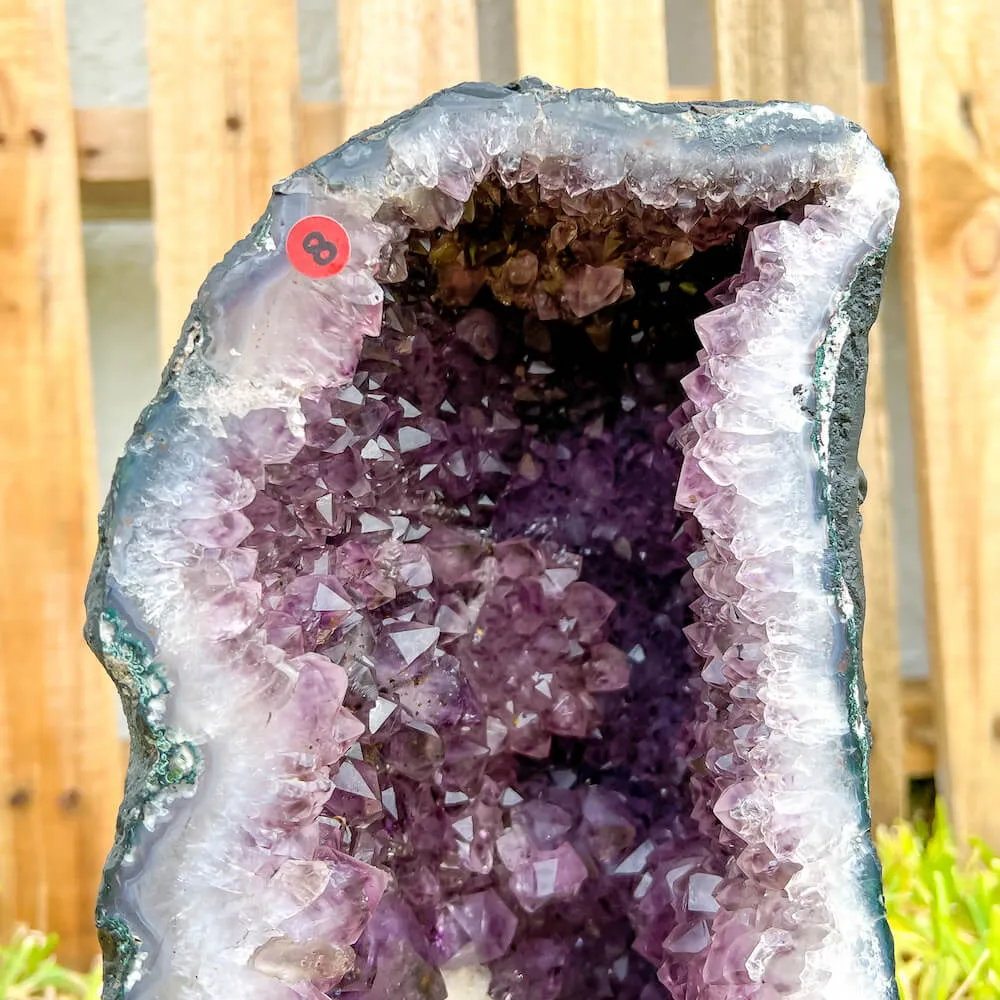 Large Amethyst Cathedral