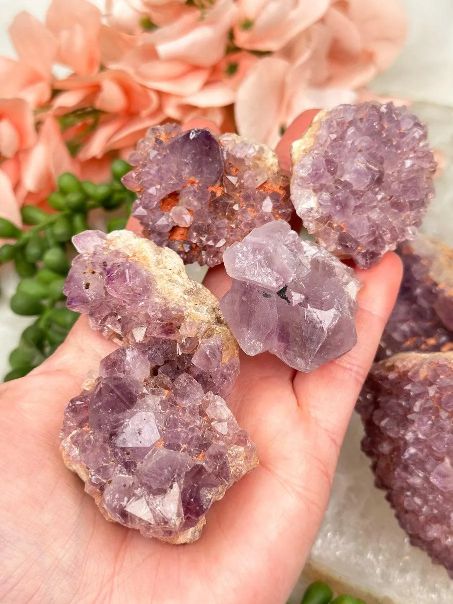 Madagascar Amethyst Clusters