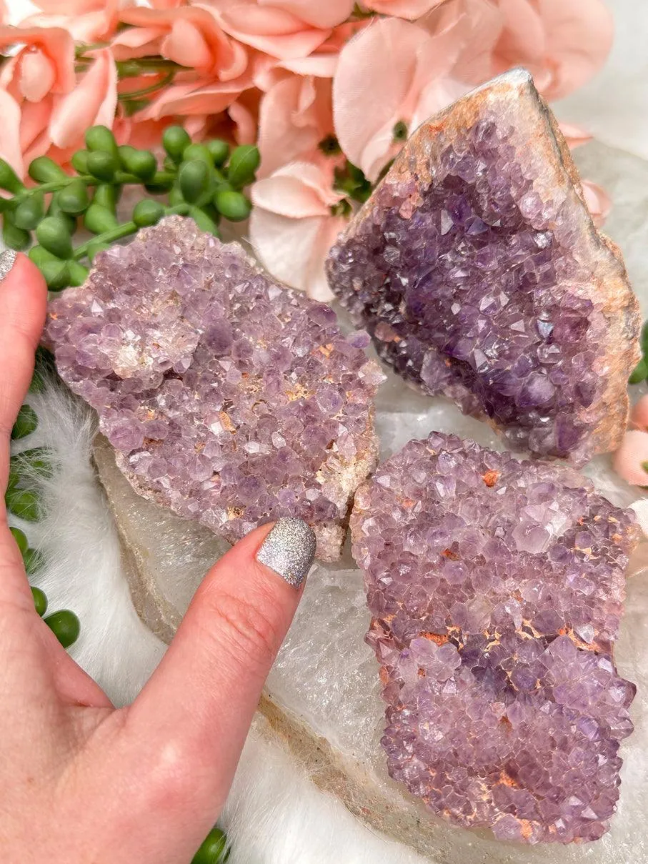 Madagascar Amethyst Clusters