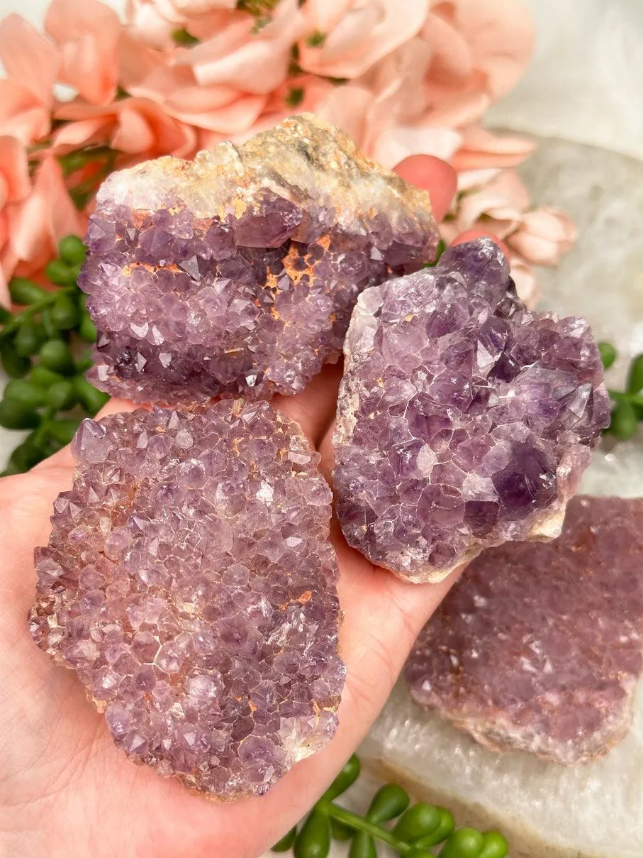 Madagascar Amethyst Clusters