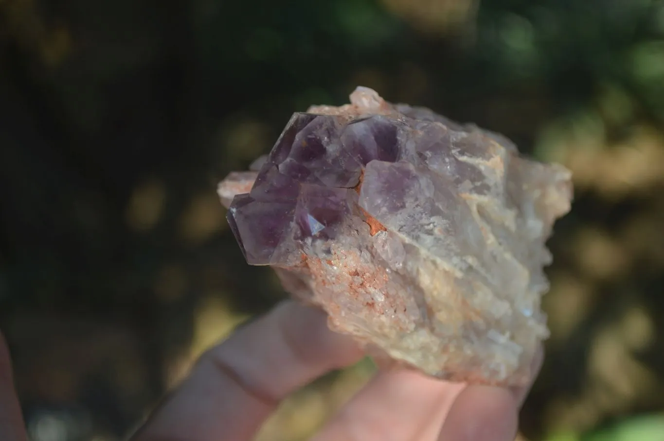 Natural Sugar Amethyst Clusters  x 6 From Zambia