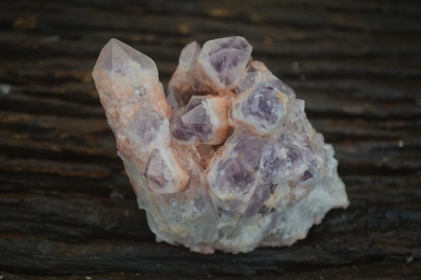 Natural Sugar Amethyst Clusters  x 6 From Zambia