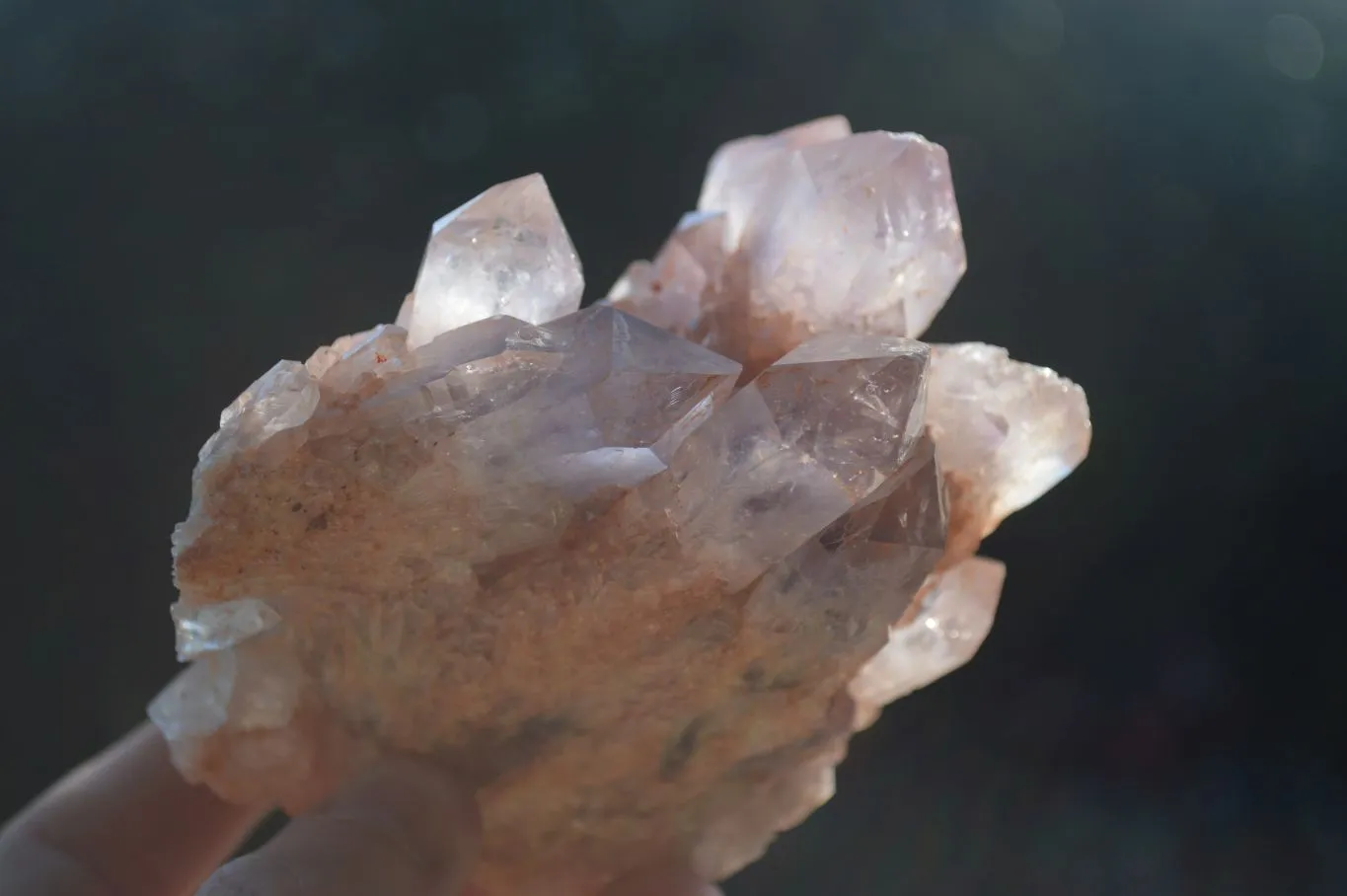 Natural Sugar Amethyst Clusters  x 6 From Zambia