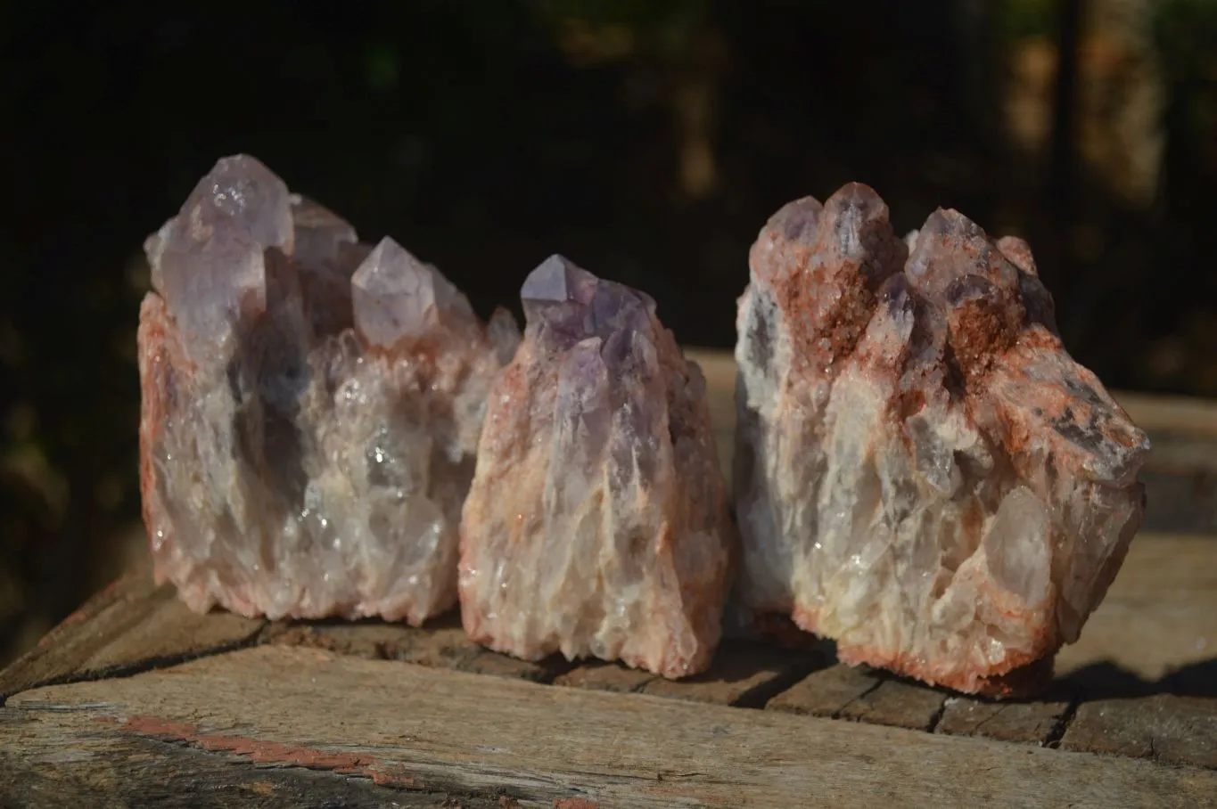 Natural Sugar Amethyst Clusters  x 6 From Zambia