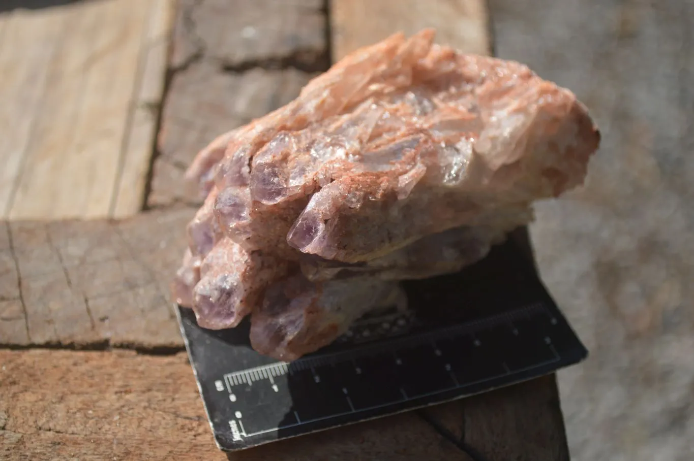 Natural Sugar Amethyst Clusters  x 6 From Zambia