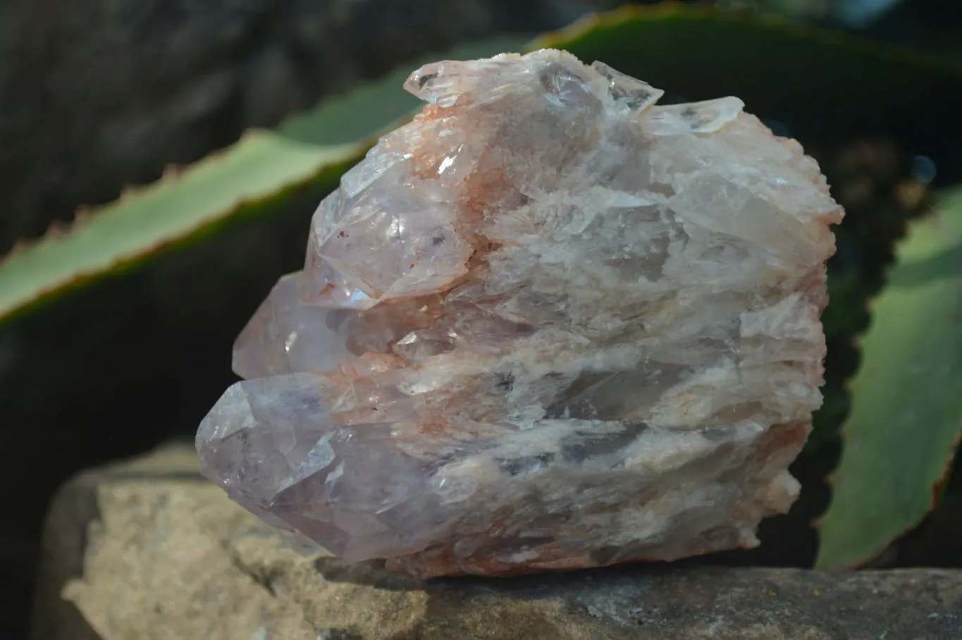 Natural Sugar Amethyst Clusters  x 6 From Zambia