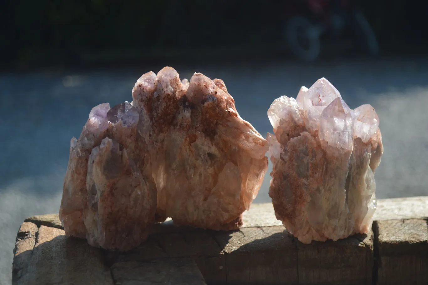 Natural Sugar Amethyst Clusters  x 6 From Zambia