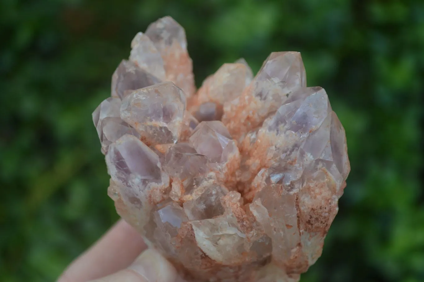 Natural Sugar Amethyst Clusters  x 6 From Zambia